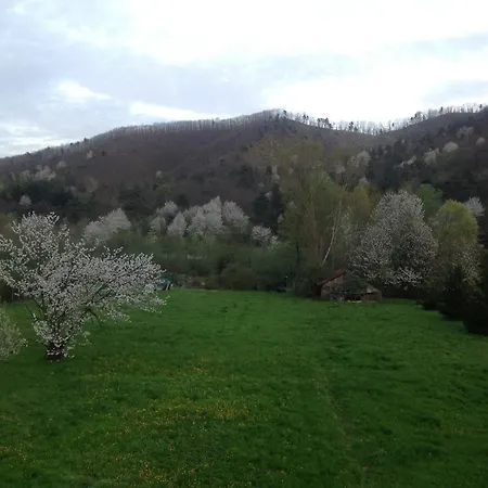 Frühstückspension Le Stanze Del Moro Pallare